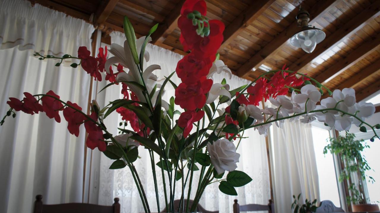 Stavros Amazing Apartment In The Centre Of Kos 외부 사진
